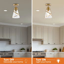Parrot Uncle 7-Inch Walker 1-Light Semi-Flush Mount Ceiling Light (C3007)