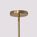 Parrot Uncle 7.5-Inch Yetta 1-Light Island Pendant Light (C3011GNL)