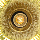 Parrot Uncle 3.5-Inch Paula 1-Light Semi-Flush Mount Ceiling Light (C3011GN)