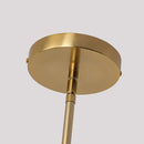 Parrot Uncle 6-Inch Felix 1-Light Island Pendant Light (C3012L)