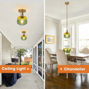 Parrot Uncle 6-Inch Felix 1-Light Island Pendant Light (C3012L)
