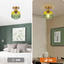 Parrot Uncle 6-Inch Bard 1-Light Semi-Flush Mount Ceiling Light (C3012)