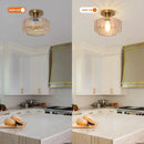 Parrot Uncle 9-Inch Gerald 1-Light Semi-Flush Mount Ceiling Light (C3015)