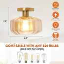 Parrot Uncle 9-Inch Gerald 1-Light Semi-Flush Mount Ceiling Light (C3015)
