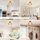 Parrot Uncle 9-Inch Gerald 1-Light Semi-Flush Mount Ceiling Light (C3015)