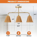 Parrot Uncle 30-Inch Paddy 3-Light Chandelier (C5001)