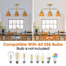 Parrot Uncle 30-Inch Paddy 3-Light Chandelier (C5001)