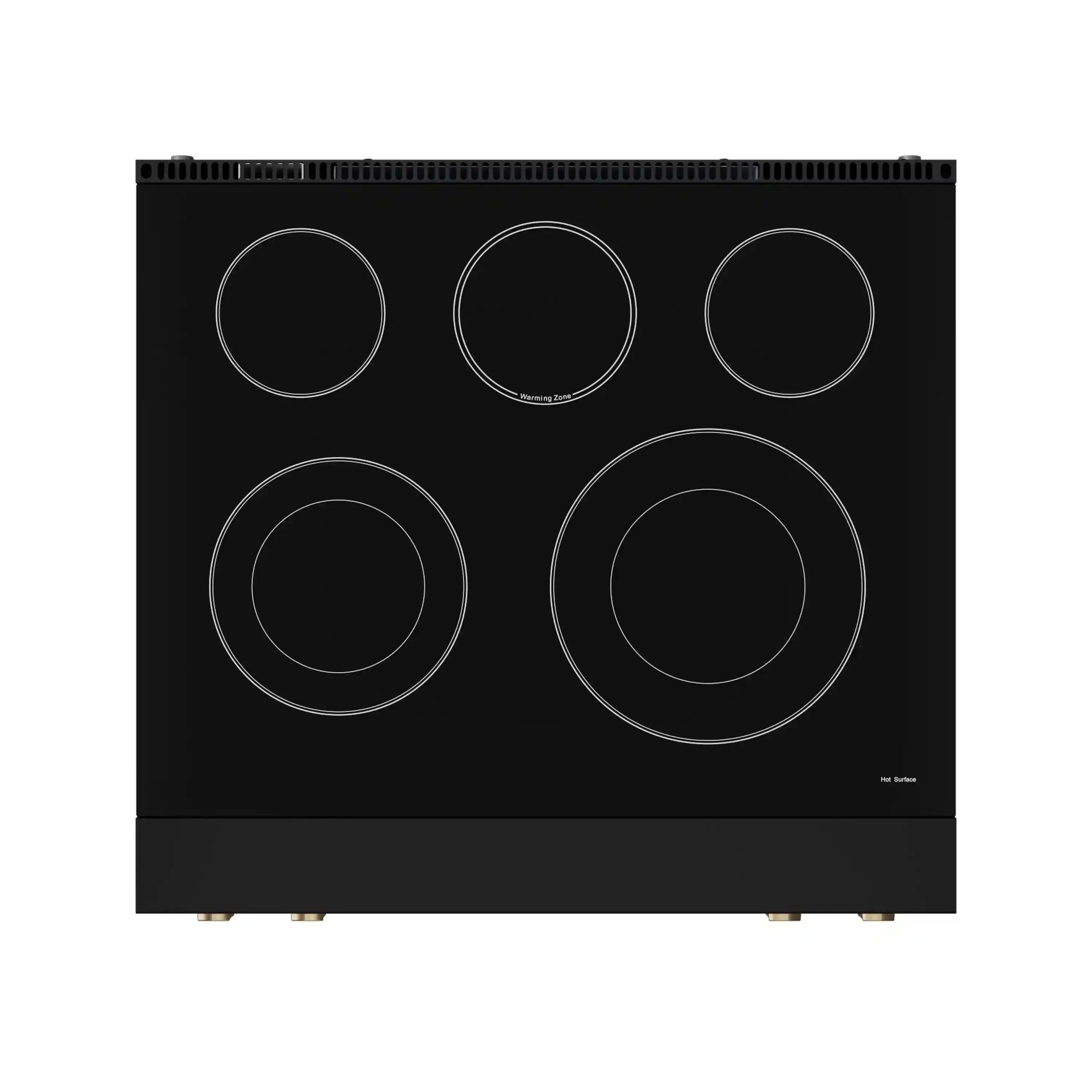 Black electric cooktop with five round burner elements