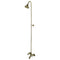 Kingston Brass Vintage Two-Handle 2-Hole Wall Mount Clawfoot Tub Faucet Package with Shower Combo, Antique Brass (CCK2673)