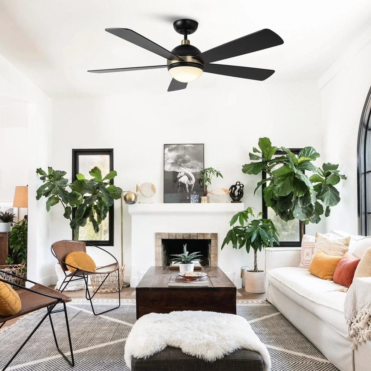 Black 5-blade ceiling fan with frosted LED light globe on ceiling mount