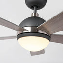 Parrot Uncle 52-Inch Industrial 5 Blades Ceiling Fan with LED Lighting