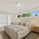 Parrot Uncle 52-Inch Wall Control 4 Speed Ceiling Fan