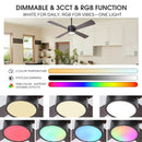 Parrot Uncle 52-Inch Bucholz Industrial Dimmable RGB LED Ceiling Fan with Remote and APP Control
