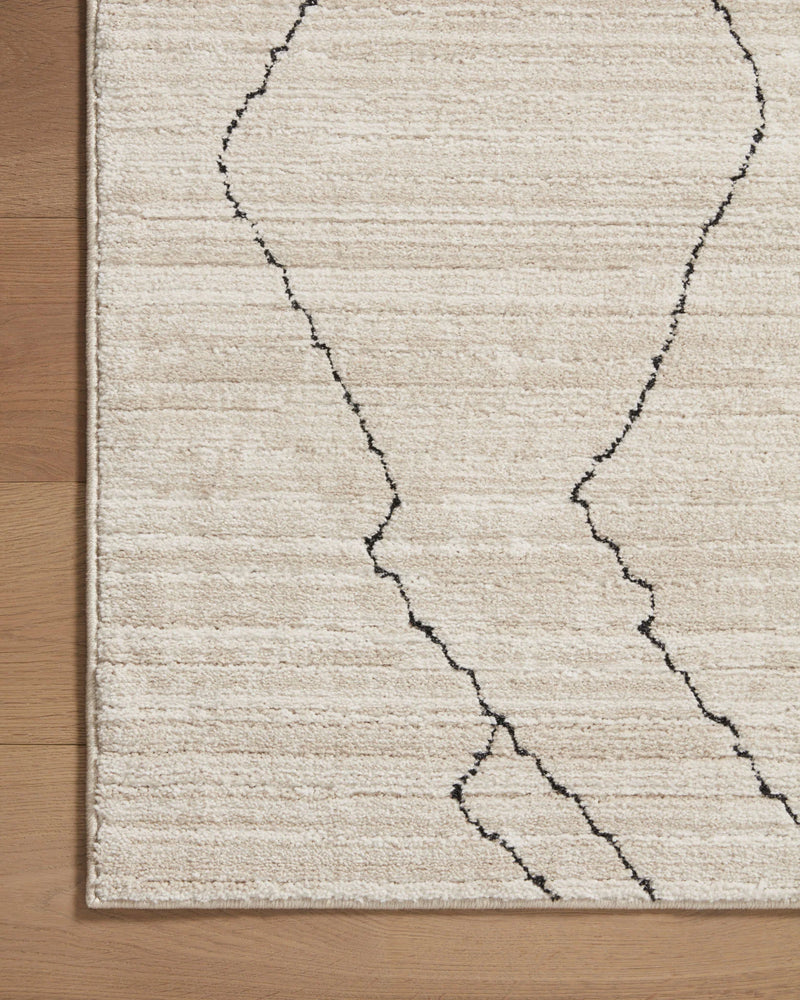 Loloi II Area Rug 5' 3" x 7' 6" in Sand and Charcoal (DAR-03)