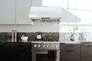 Hauslane 540 CFM Pro-Style Under Cabinet and Wall Mount Range Hood in Stainless Steel (PRO500SS)