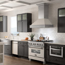 ZLINE 18-Inch Dishwasher in White Matte with Stainless Steel Tub and Traditional Style Handle (DW-WM-18)