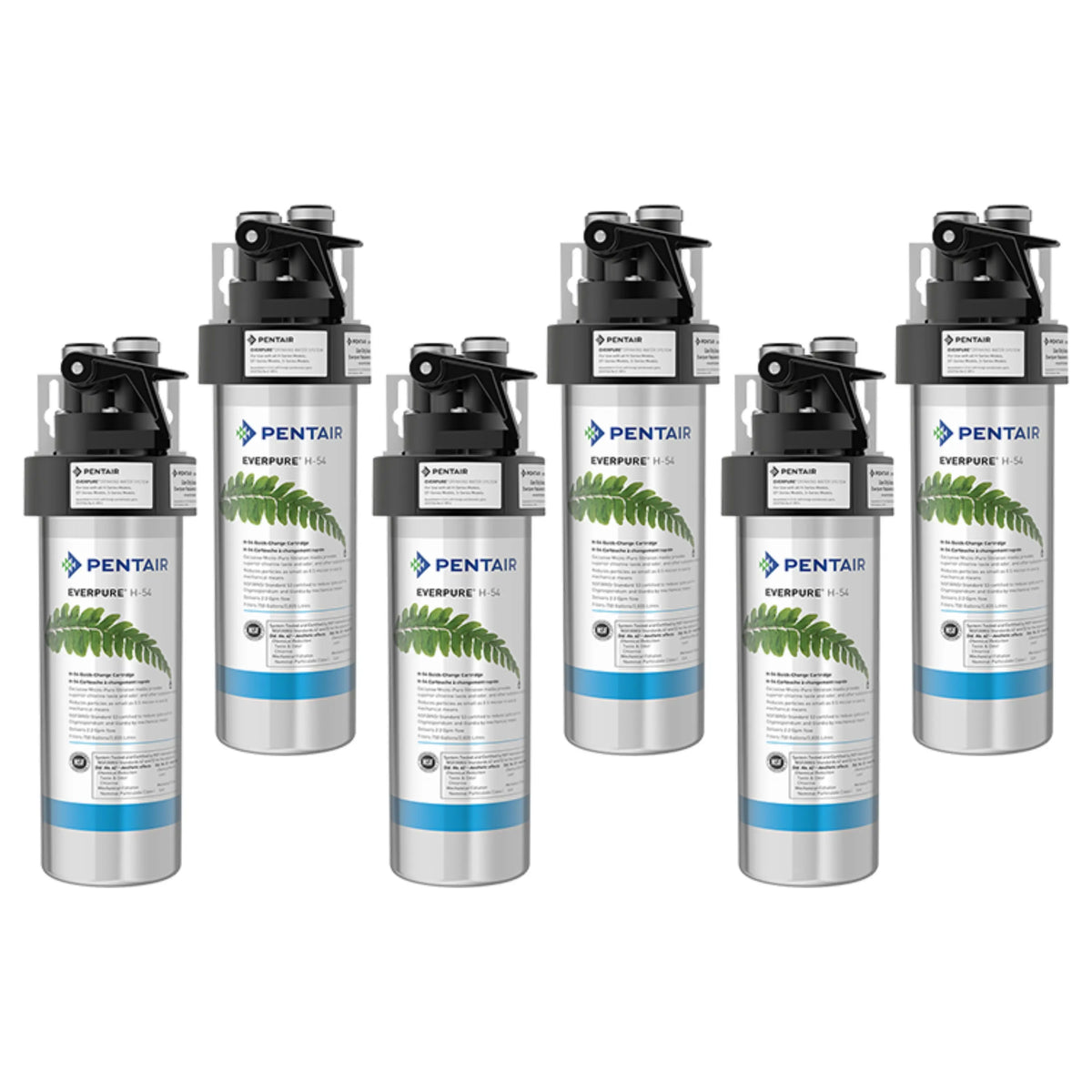 6-pack Pentair Everpure H-54 filter cartridges with blue band and black tops
