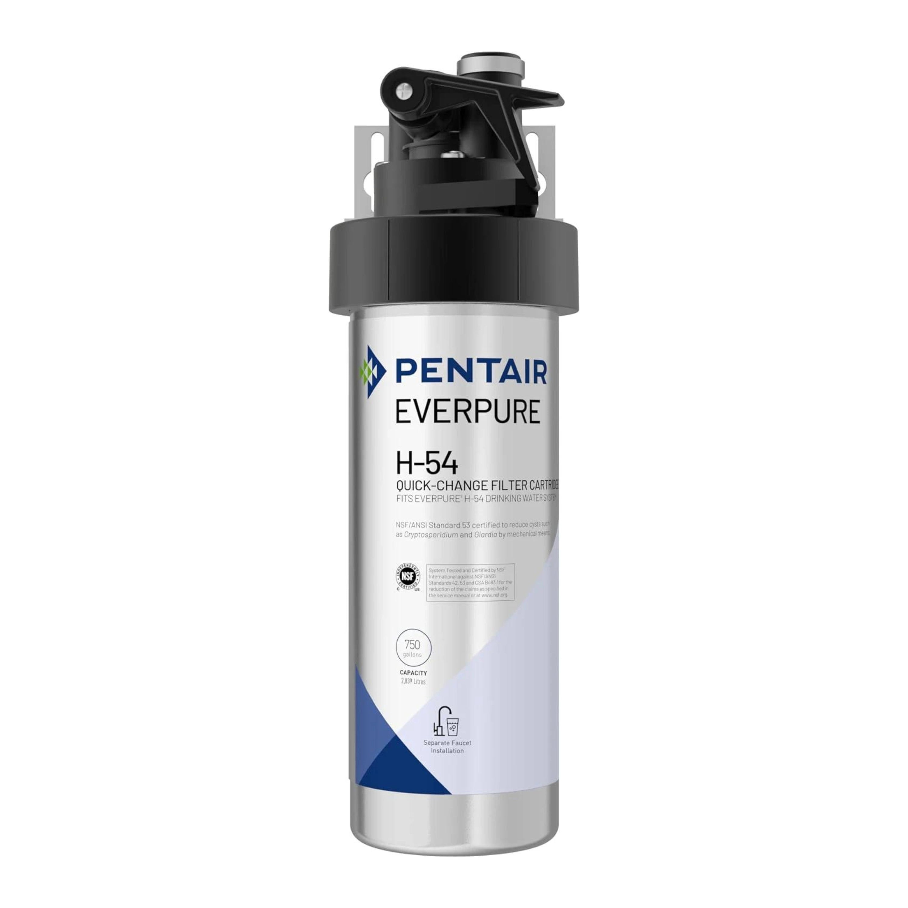Pentair Everpure H-54 quick-change filter cartridge with black top cap