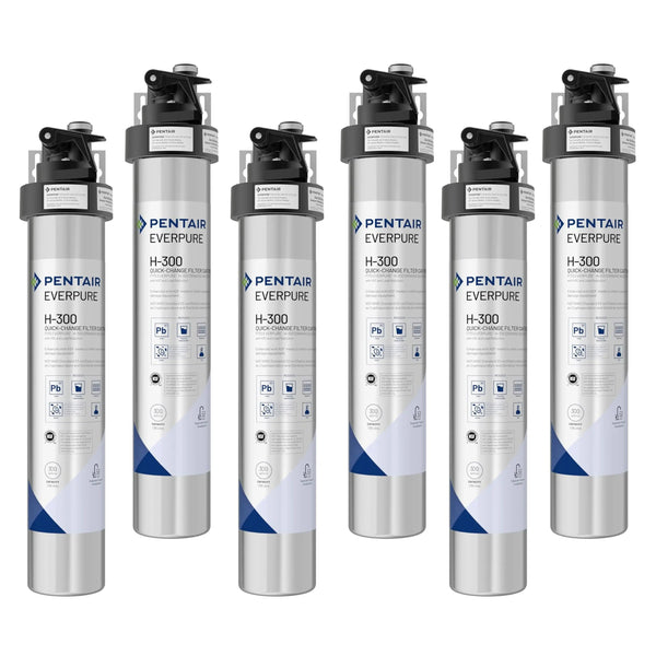 Pentair Everpure H-300 Drinking Water System, 6Pk (EV927070)