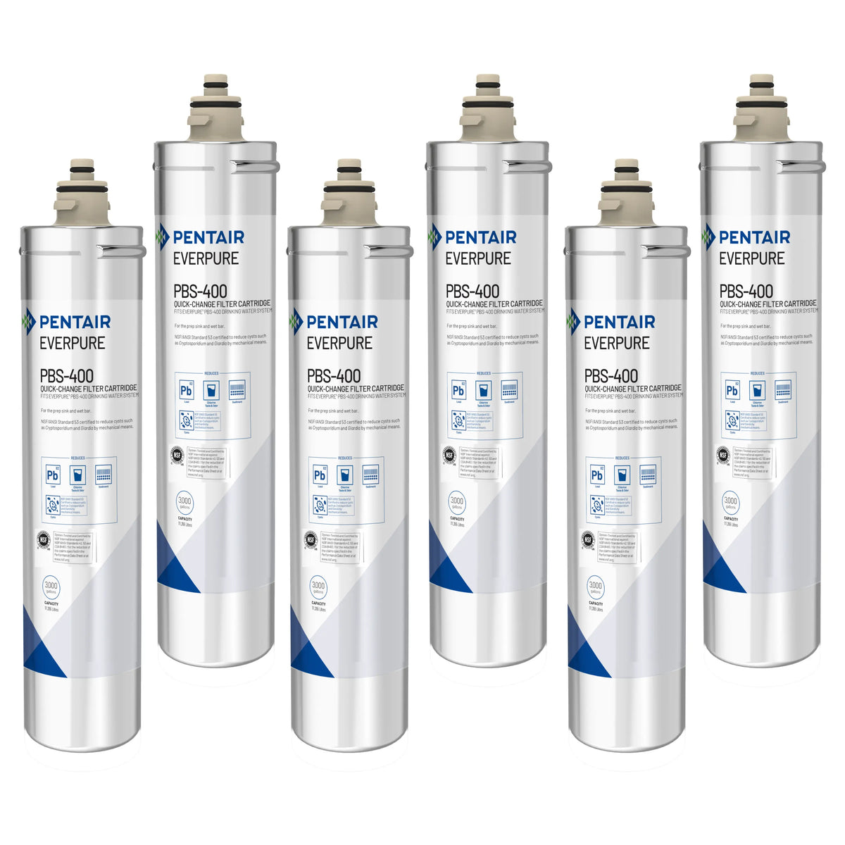 Everpure PBS-400 replacement water filter cartridges, six-pack stainless canisters