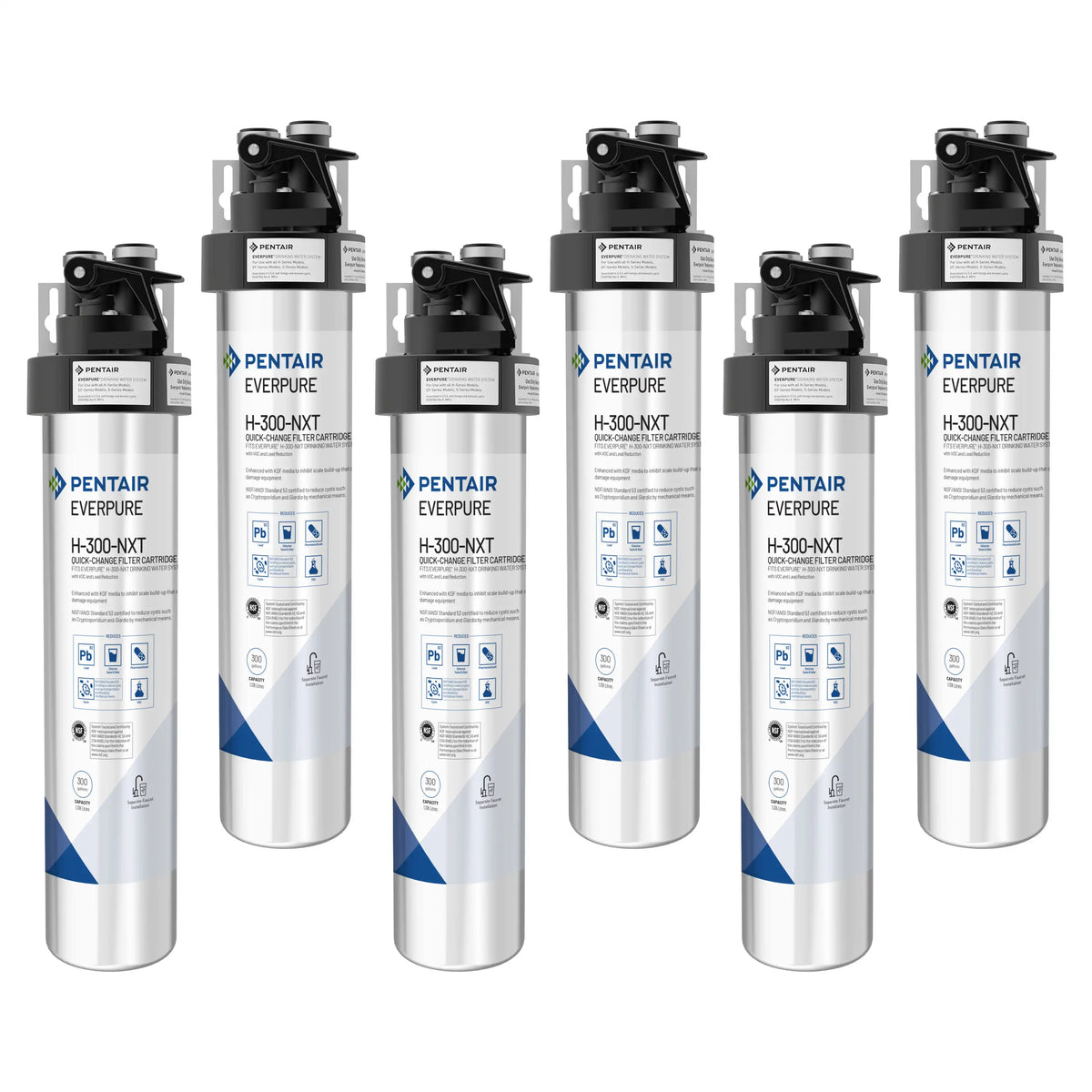 6-pack Everpure H-300-NXT drinking water filter cartridges with black top caps