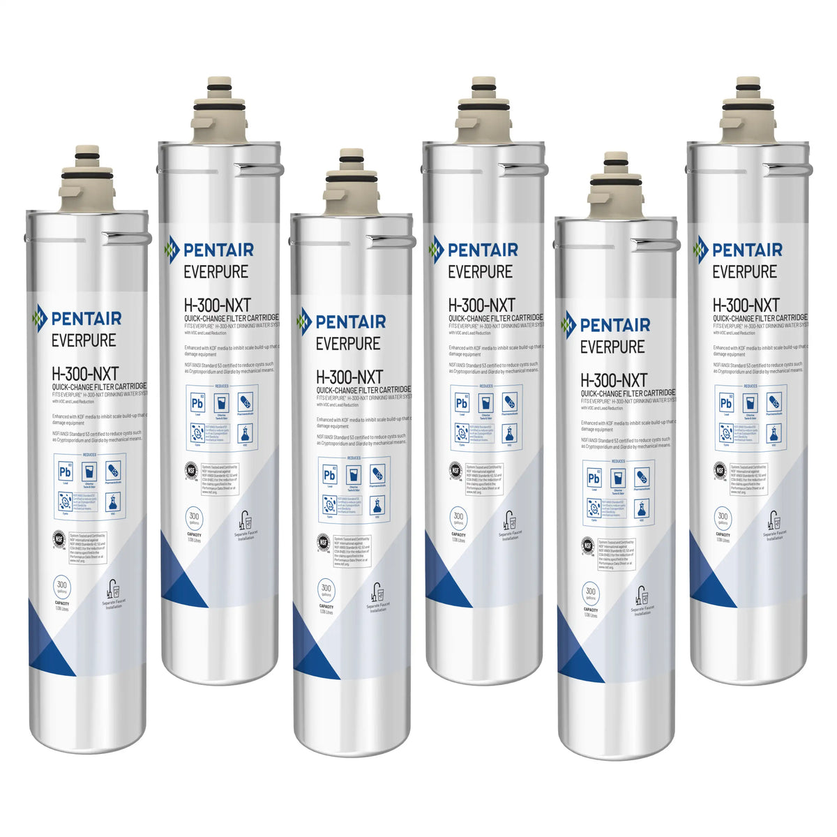 Set of Everpure H-300-NXT replacement water filter cartridges with blue Pentair labels