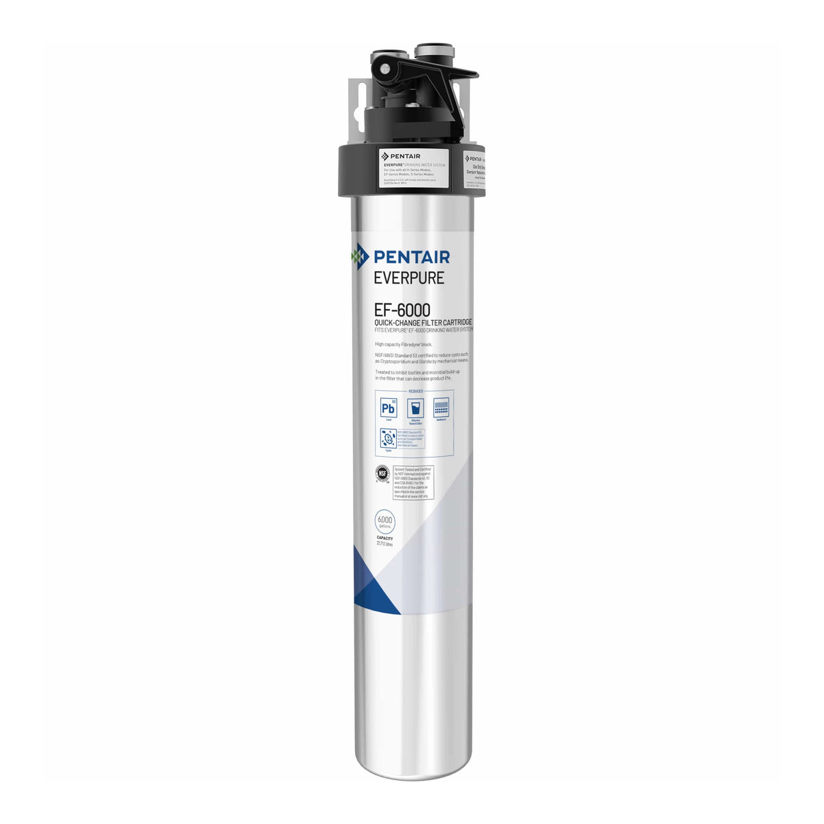 Pentair Everpure EF-6000 full-flow drinking water filter cartridge with head