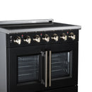 Black electric range top controls with stainless knobs and two glass oven doors