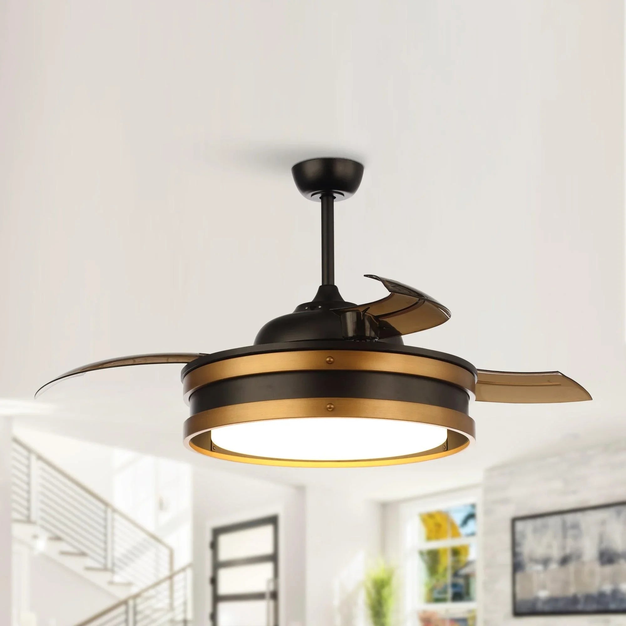 Black ceiling fan with LED light ring and bronze blade accents on a ceiling.