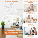 Parrot Uncle 50-Inch Rae Modern Downrod Mount LED Ceiling Fan with Remote Control (F5005-L)