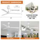 Parrot Uncle 50-Inch Erica Modern Downrod Mount Ceiling Fan with Remote Control (F5005)