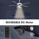 Parrot Uncle 52-Inch Oregon DC Motor Modern Downrod Ceiling Fan with LED Light