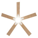 Parrot Uncle 52-Inch Bernice DC Motor Industrial Downrod Ceiling Fan with LED Light and Remote Control