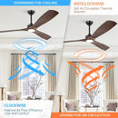 Parrot Uncle 60-Inch Alexi DC Motor Modern Downrod Ceiling Fan with LED Light