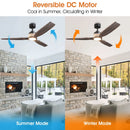 Parrot Uncle 56-Inch Louise Downrod Mount LED Ceiling Fan with Remote Control (F6015)