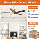 Parrot Uncle 52-Inch Fanny Double-Sided Blades Flush Mount LED Ceiling Fan with Remote Control (F6033GD)
