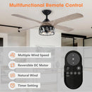Parrot Uncle 52" Tata Nagar Farmhouse Downrod Mount Reversible Crystal Ceiling Fan with Lighting and Remote Control (F6111110V)