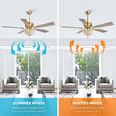 Parrot Uncle 52-Inch Ganga Modern Downrod Mount Reversible Crystal Ceiling Fan with Lighting and Remote Control