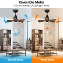 Parrot Uncle 28-Inch Kwang Farmhouse DC Motor Downrod Mount Reversible Ceiling Fan with LED Lighting and Remote Control