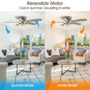 Parrot Uncle 52-Inch Bangatore Traditional Chrome Flush Mount Reversible Ceiling Fan with Lighting and Remote Control (F6291QQ110V)