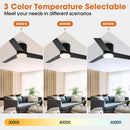 Parrot Uncle 48-Inch Flush Mount Ceiling Fan 3 Blades with LED Lighting and Remote Control