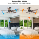 Parrot Uncle 52-Inch Antone Industrial Downrod Mount Reversible Ceiling Fan with Lighting and Remote Control (F6311Q110V)