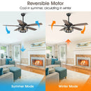 Parrot Uncle 52-Inch Paquette Industrial Downrod Mount Reversible Ceiling Fan with Lighting and Remote Control (F6315Q110V)