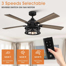 Parrot Uncle 52-Inch Lucknow Industrial Black Reversible Ceiling Fan with Lighting and Remote Control