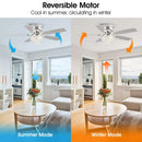 Parrot Uncle 52-Inch Kanpur Modern Chrome Flush Mount Reversible Crystal Ceiling Fan with Lighting and Remote Control (F6349Q110V)