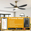 Parrot Uncle 52-Inch Punjab Smart Fan with LED Light (F6357-SMART)