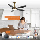 Parrot Uncle 52-Inch Punjab Smart Fan with LED Light (F6357-SMART)