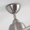 Parrot Uncle 48-Inch Linden DC Motor Downrod Mount Reversible Ceiling Fan with Lighting and Remote Control