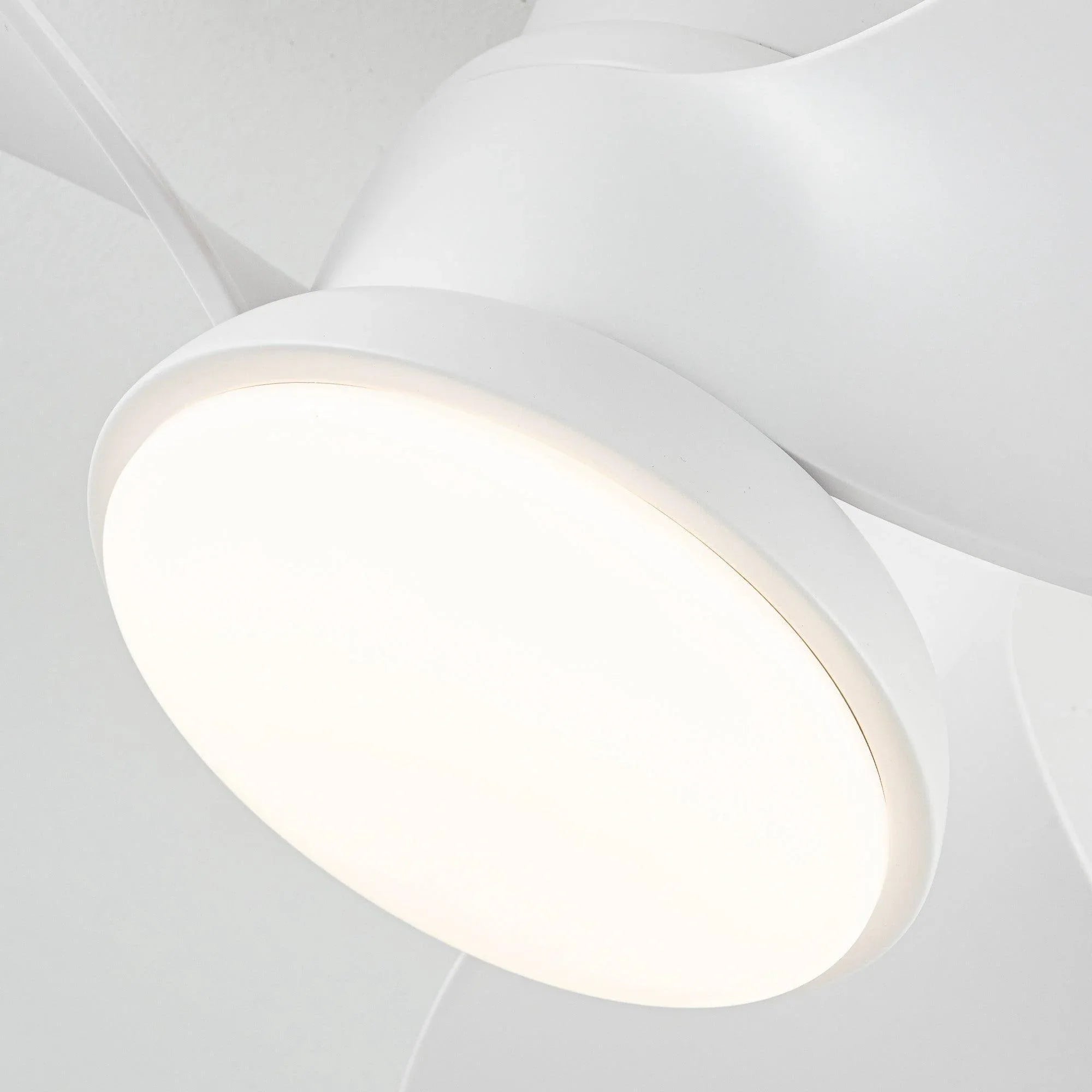 Close-up of a white flush-mount ceiling fan light and blade hub.