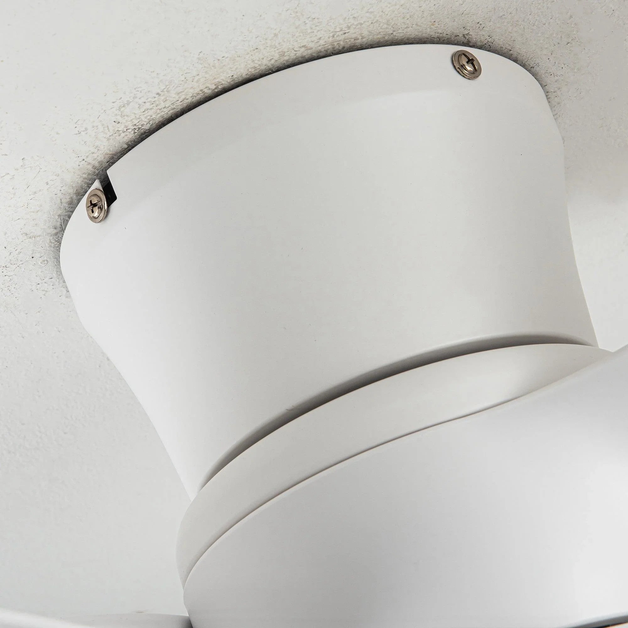 Close-up of the white fan canopy and mounting screws above the flush light.
